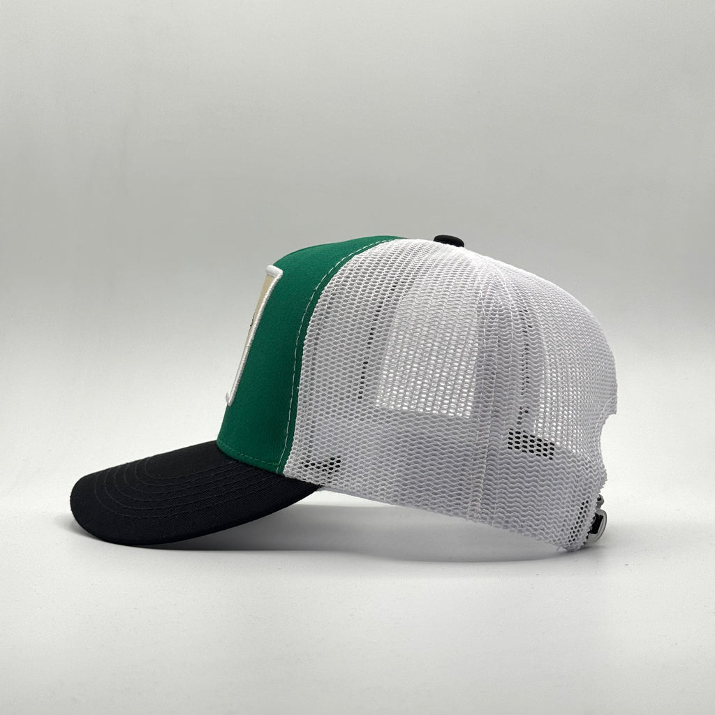 SAGITARIO / VERDE - NEGRO